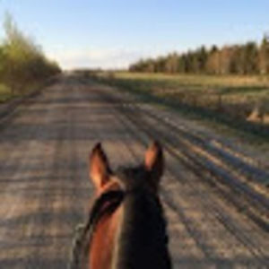 Meet your Posher, Brenson